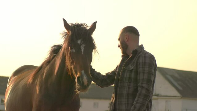 The farmer leads the horse to the stable after work. Sunset, manual labor concept.