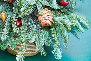 Christmas background, green fir branches in a basket, decorated with cedar cones, acorns, balls