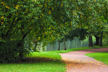 Early autumn in the park, leaves begin to turn yellow and fall, park paths