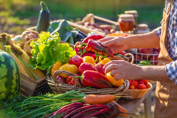 The farmer sells fruits and vegetables at the farmers market. Selective focus. - obrazy, fototapety, plakaty