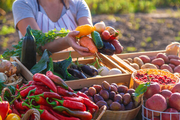 A woman farmer sells fruits and vegetables at a farmers market. Selective focus. - obrazy, fototapety, plakaty