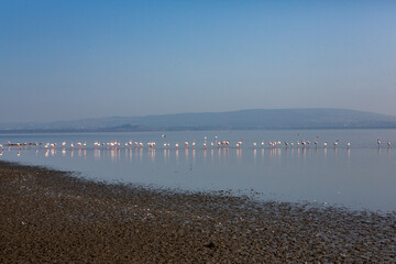 African landscape at Lake Nakuru. Beautiful nature in Kenya.