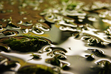 abstraction in nature