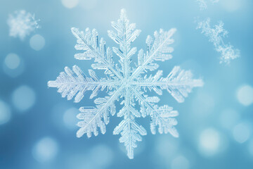 Close up detail of snowflakes
