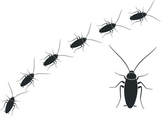 Cockroach logo. Isolated cockroach on white background