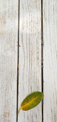 vintage old wood plank texture pattern top view