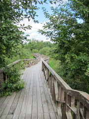 Fototapeta premium Wooden winding walking eco-trail through deciduous trees in a public park.
