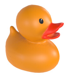 Duck isolated on transparent