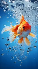 Fotobehang Illustration of a goldfish swimming in water with bubbles © NK