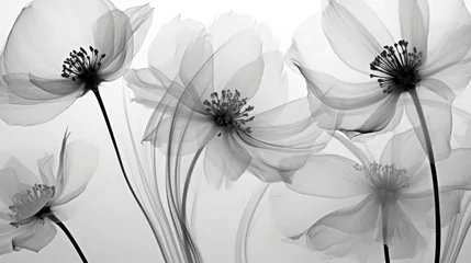 Fotobehang A black and white illustration of flowers © NK