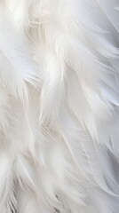 A close up of white feathers on a white background