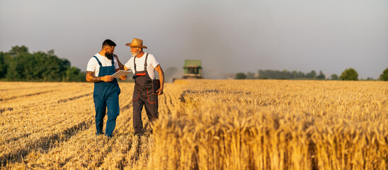 Two farmers walking on golden wheat field during harvest in summer. Seasonal agricultural works