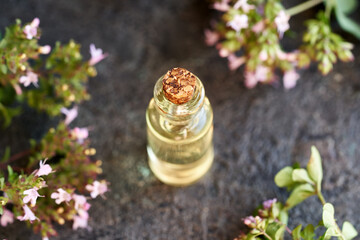 Oregano essential oil on a dark table