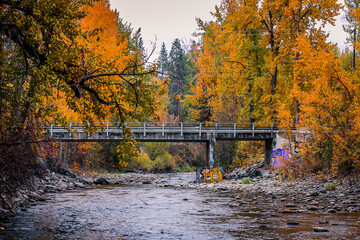 A bridge over mission creek in the autumn with visible grafiti.