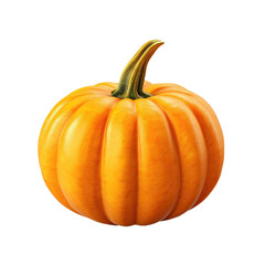 Pumpkin Isolated on a Transparent Background