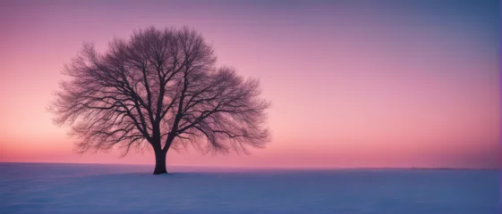 Fotobehang Winter wallpaper. A tree standing alone on a snowy field against a pink frosty sunset sky. Beautiful winter nature scene.  © Valeriy