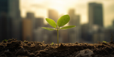 A cityscape with a young plant sprouting from the ground, symbolizing growth and renewal - obrazy, fototapety, plakaty