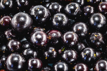 The jabuticaba or jaboticaba is the fruit of the jaboticabeira o