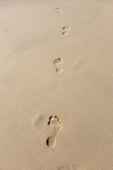 Human footprint on sand summer tropical beach background