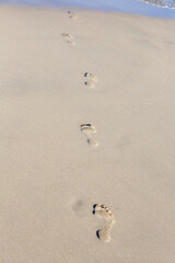 Human footprint on sand summer tropical beach background