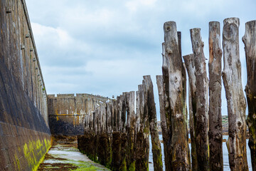 breakwater line on the beach in front of the walls of saint malo at low tide - obrazy, fototapety, plakaty