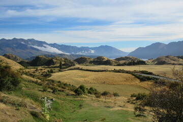 Fototapeta premium Aerial view of green fields and trees against mountains in Wanaka, New Zealand