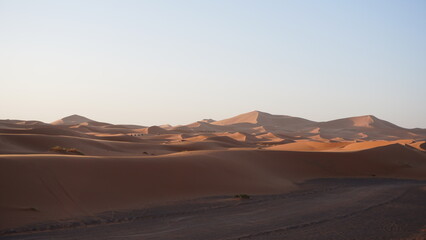 Fototapeta na wymiar Desert en été