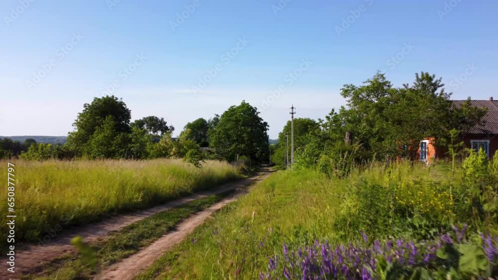 Wall mural drone flying low on red flowers and grass field with trees under blue sky