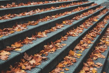 Fall view from a park in Quebec City with fallen leaves and orange trees.