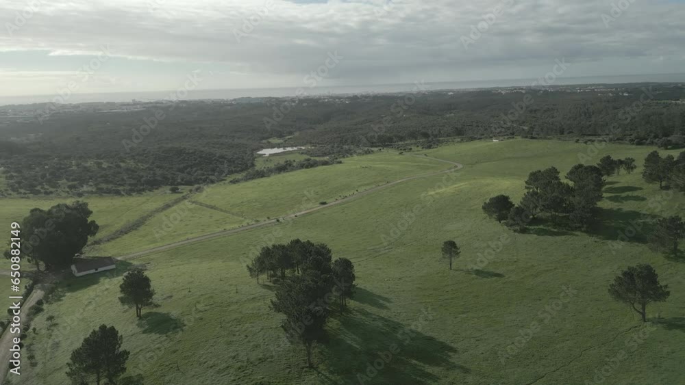 Sticker aerial video of the rural valley partly covered with trees on a cloudy day