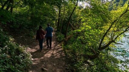 Obraz premium Elderly couple strolling through a forest together, illuminated by the vibrant morning sun