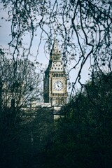 Iconic Big Ben clock tower seen from the bare branches of a tree.