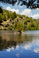 Fototapeta na wymiar Vertical shot of a beautiful lake near the forest on a sunny day
