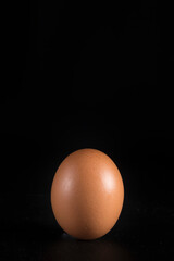brown egg placed vertically on an absolutely black background, contrast image