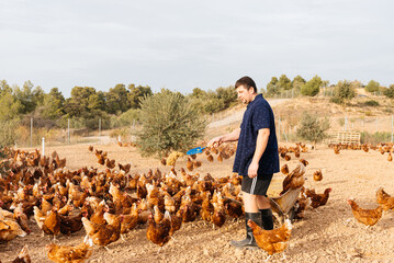 Man feeding hens on eco farm