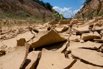 The cracks that form in the soil at the end of a dry season create a frightening image for our...