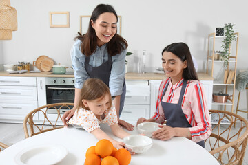 Young lesbian couple with adopted little girl having dinner in kitchen