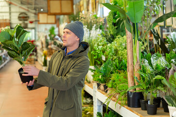 Caucasian man standing in salesroom of home goods store and choosing replica plants.