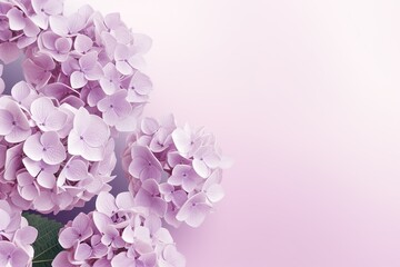 Fototapeta premium Beautiful composition spring flowers. Bouquet of hydrangeas flowers on pastel lavender background. Valentine's Day, Easter, Birthday, Happy Women's Day, Mother's Day. Flat lay, top view, copy space