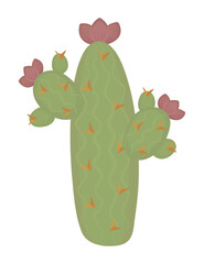 High long green cactus with flowers, color vector illustration