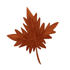 Autumn leaves. Single leaf. Set of autumn leaves. Tree leaves. Sketch leaves
