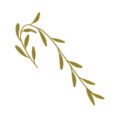 Autumn leaves. Single leaf. Set of autumn leaves. Tree leaves. Sketch leaves