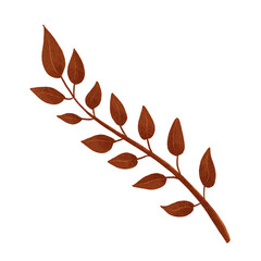 Autumn leaves. Single leaf. Set of autumn leaves. Tree leaves. Sketch leaves