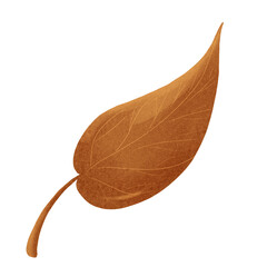 Autumn leaves. Single leaf. Set of autumn leaves. Tree leaves. Sketch leaves