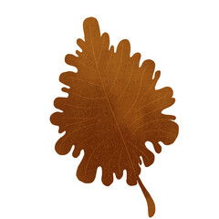 Autumn leaves. Single leaf. Set of autumn leaves. Tree leaves. Sketch leaves