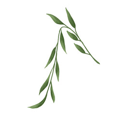 Autumn leaves. Single leaf. Set of autumn leaves. Tree leaves. Sketch leaves