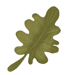 Autumn leaves. Single leaf. Set of autumn leaves. Tree leaves. Sketch leaves