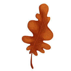 Autumn leaves. Single leaf. Set of autumn leaves. Tree leaves. Sketch leaves