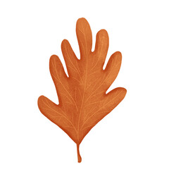 Autumn leaves. Single leaf. Set of autumn leaves. Tree leaves. Sketch leaves