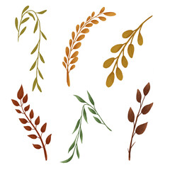 Autumn leaves. Single leaf. Set of autumn leaves. Tree leaves. Sketch leaves